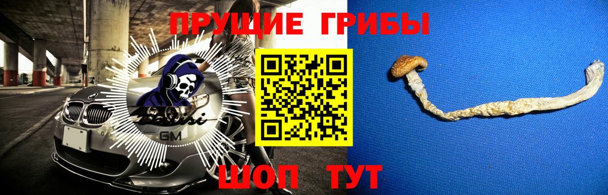Псилоцибиновые грибы прущие грибы Отрадный